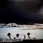 Galerie Elèves sur les moutons
